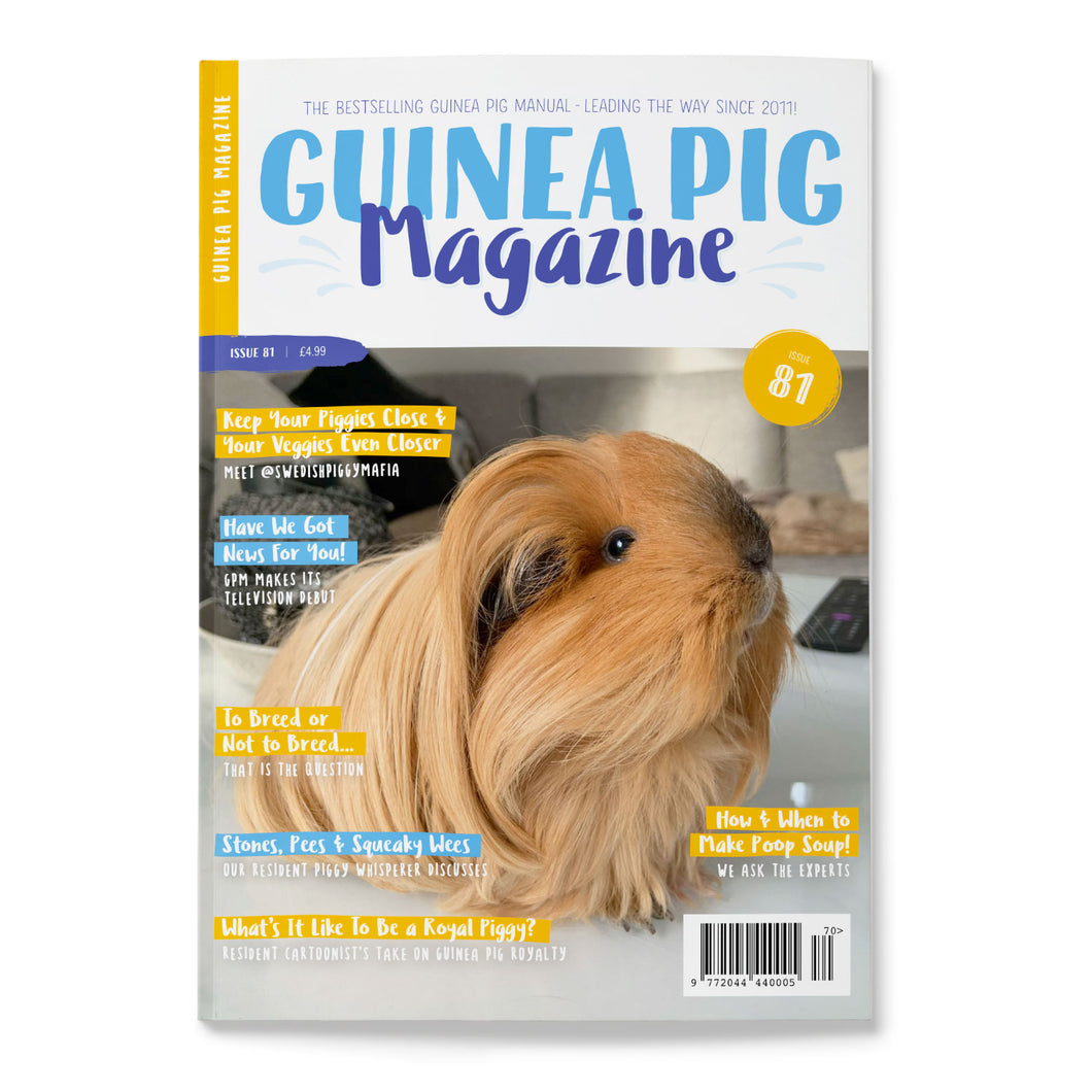 Guinea Pig Magazine - Issue 81 (July / Aug 2024)