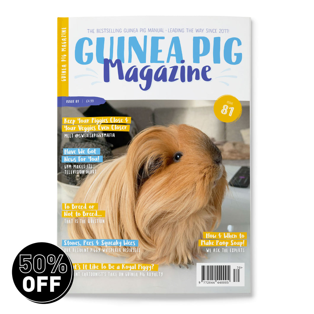 Guinea Pig Magazine - Issue 81 (July / Aug 2024)