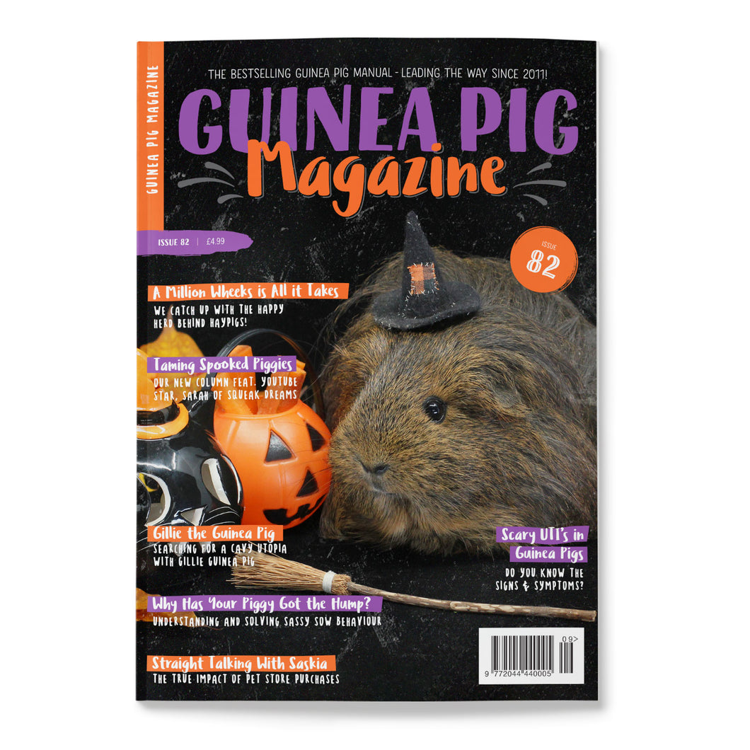 Guinea Pig Magazine - Issue 82 (Sept / Oct 2024)