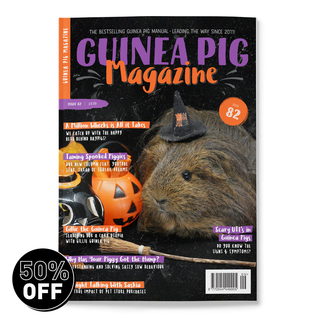 Guinea Pig Magazine - Issue 82 (Sept / Oct 2024)