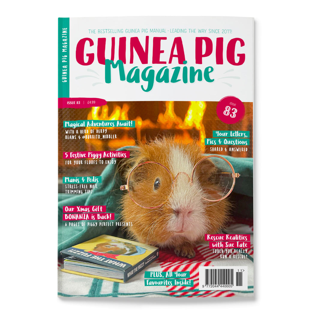 Guinea Pig Magazine - Issue 83 (Nov / Dec 2024)