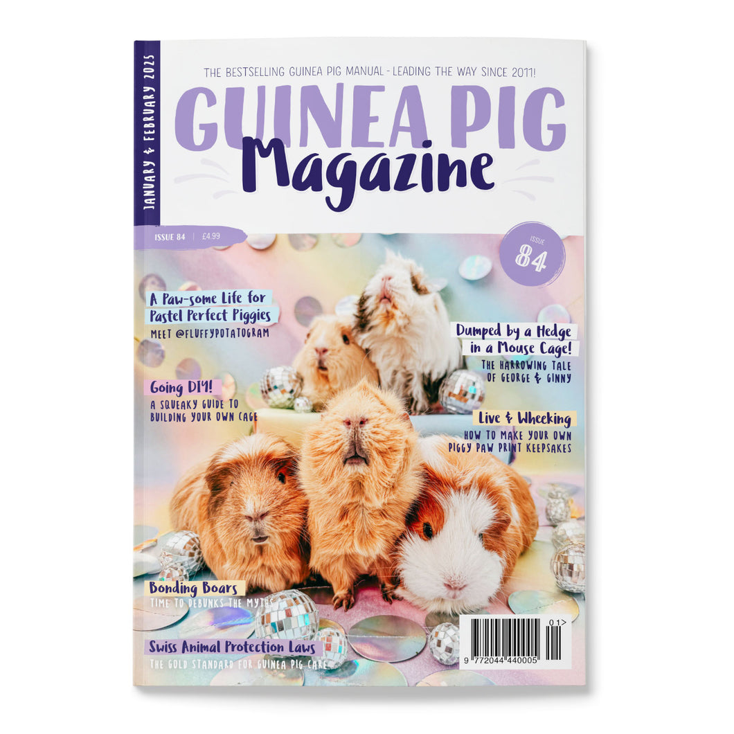 Guinea Pig Magazine - Issue 84 (Jan / Feb 2025)