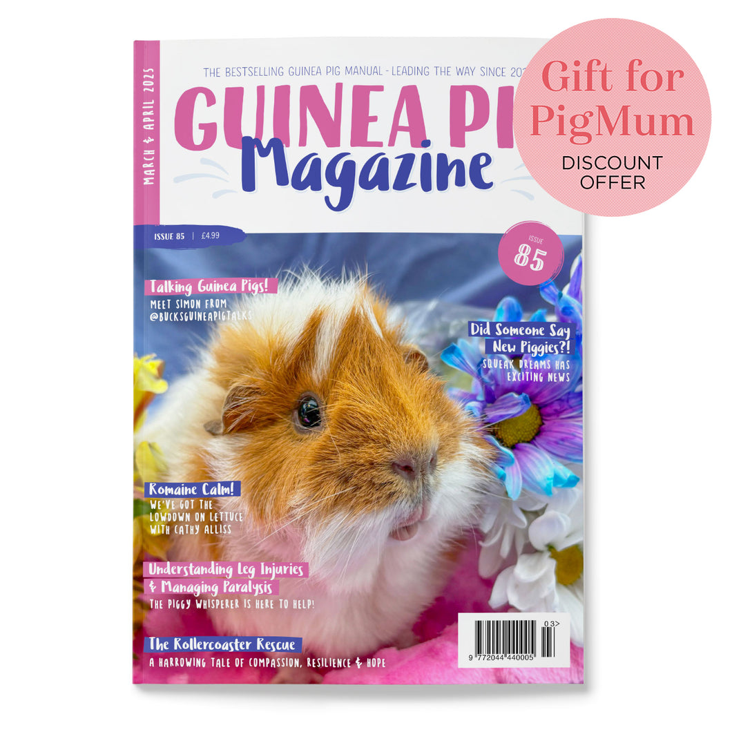 Guinea Pig Magazine - Issue 85 (Mar / Apr 2025)