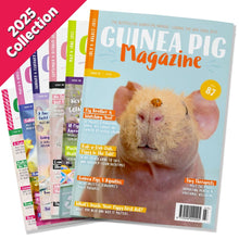 Load image into Gallery viewer, Guinea Pig Magazine - 2025 Collection - Back Issues

