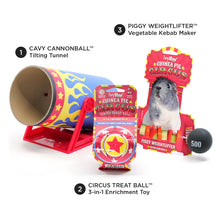 Load image into Gallery viewer, BUNDLE OFFER: HayPigs!® Guinea Pig Circus™ range - GREATEST SHOWMAN
