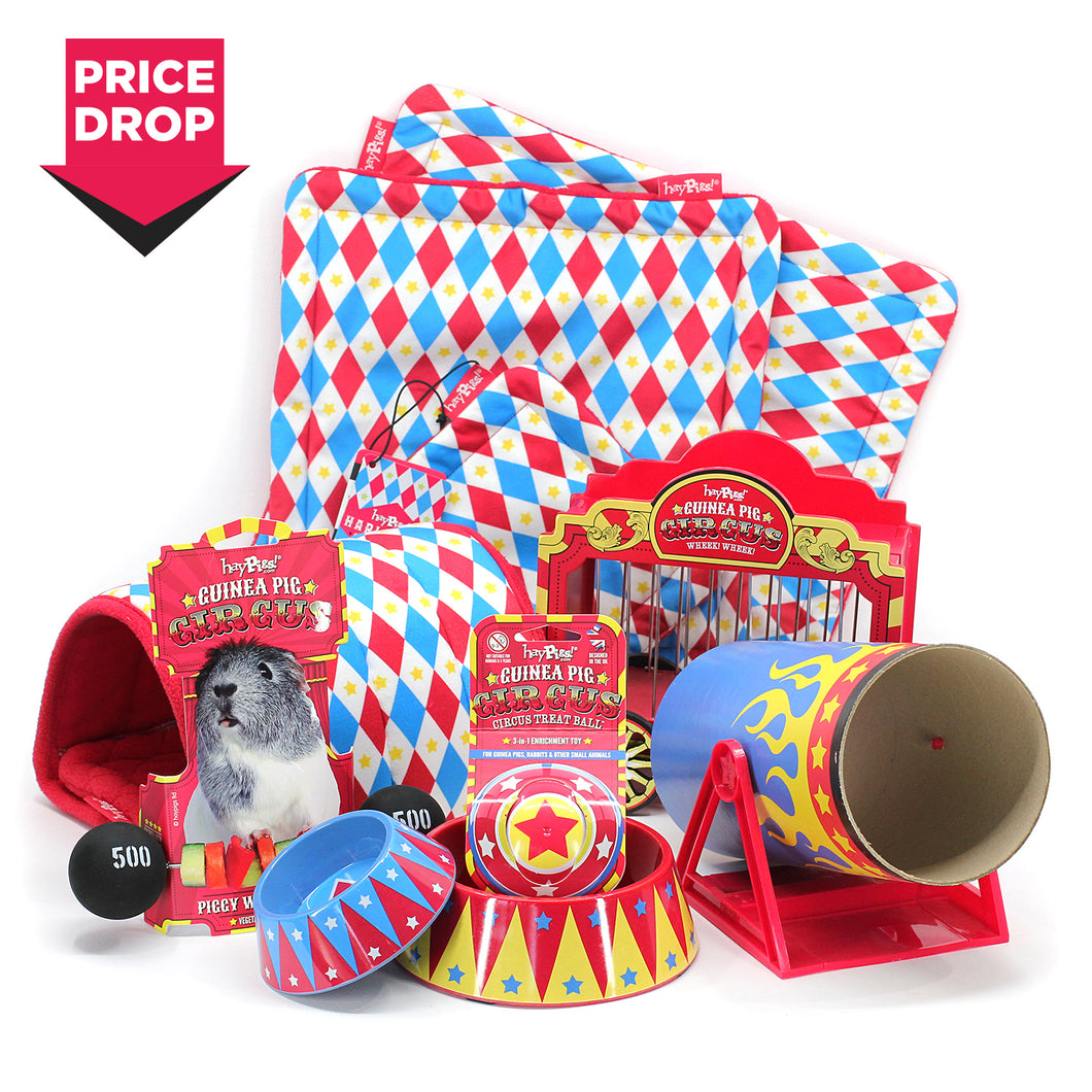 BUNDLE OFFER: HayPigs!® Guinea Pig Circus™ range - GREATEST SHOWMAN