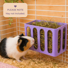 Load image into Gallery viewer, Guinea Pig &amp; Rabbit Hay Feeder – Lilac
