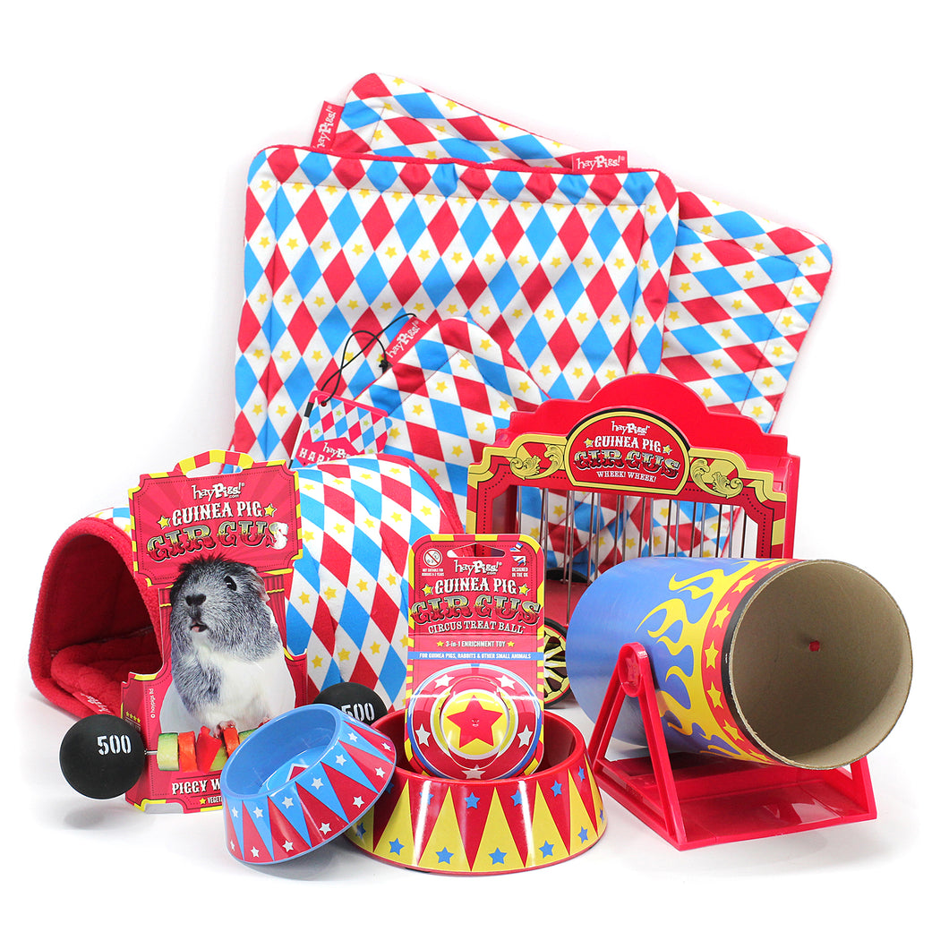 BUNDLE OFFER: HayPigs!® Guinea Pig Circus™ range - GREATEST SHOWMAN