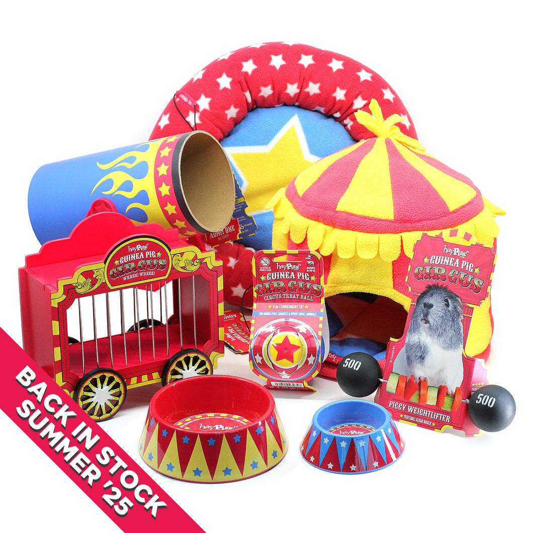BUNDLE OFFER: The HayPigs!® Guinea Pig Circus™ range - FULL SET