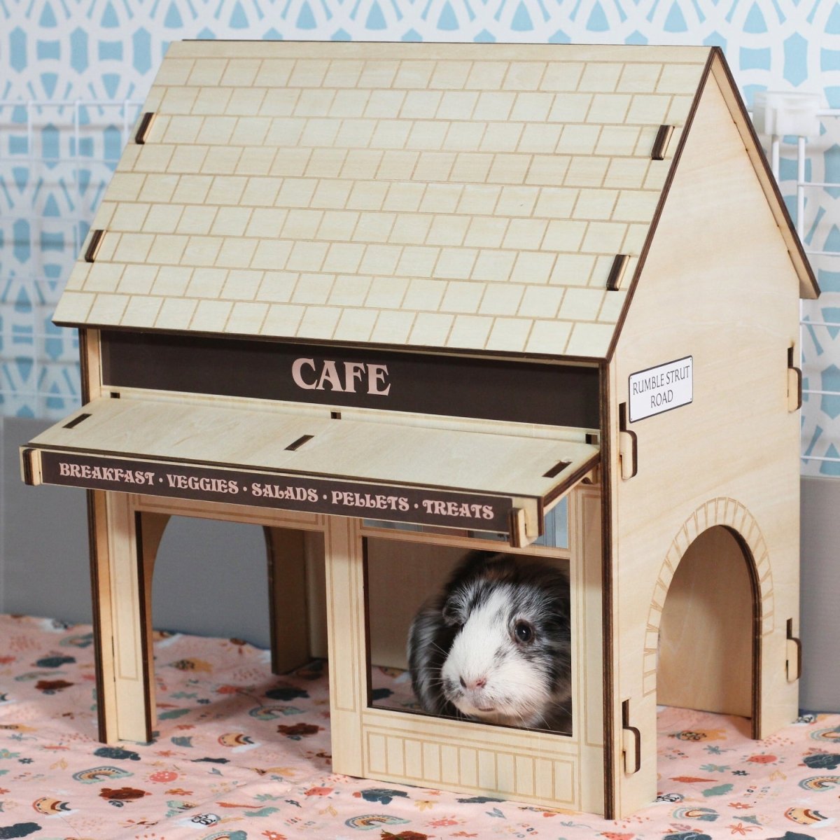 A closer look at Guinea Pig Cafe Milwaukee Wi