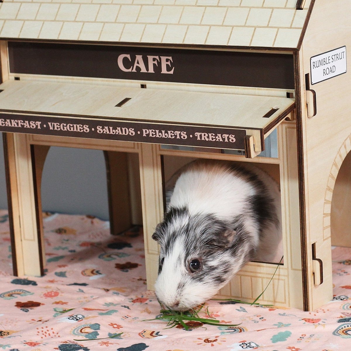 HayPigs!® Guinea Pig Café - Build Your Own Guinea Pig Village – HAYPIGS