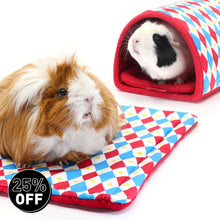 Load image into Gallery viewer, BUNDLE OFFER: HayPigs!® Harlequin Collection – TUNNEL &amp; PADS
