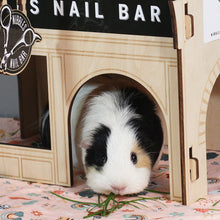 Load image into Gallery viewer, HayPigs!® Nibbles Nail Bar - Build Your Own Guinea Pig Village
