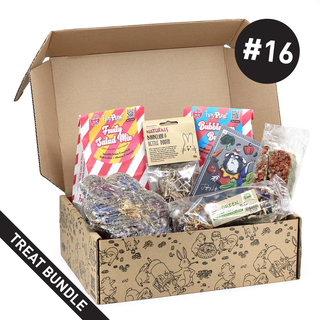 HayPigs!® Treat Box #16