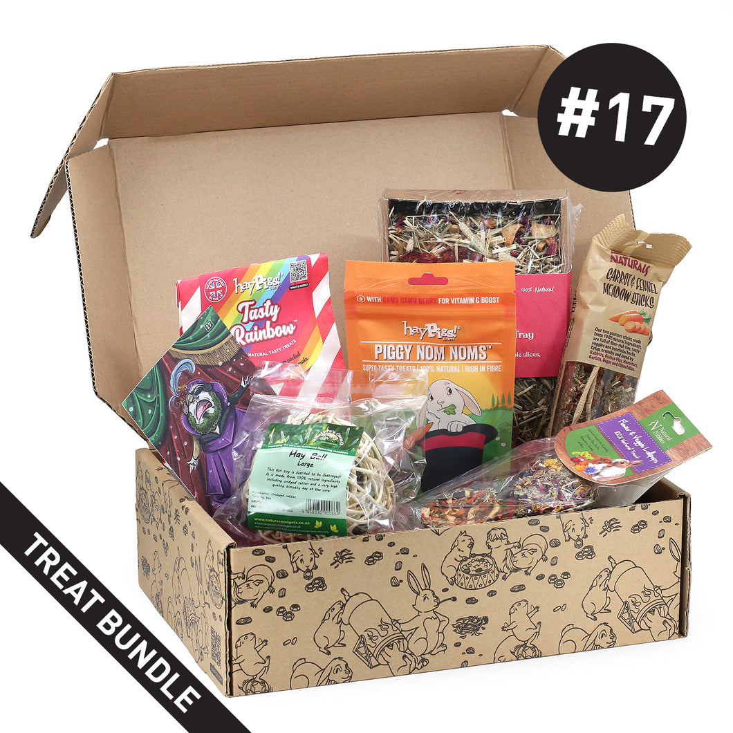 HayPigs!® Treat Box #17