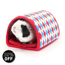 Load image into Gallery viewer, HayPigs!® Harlequin Collection - Tunnel and Hideout™
