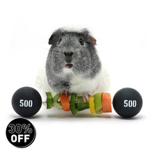 Load image into Gallery viewer, HayPigs!® Piggy Weightlifter™ - Vegetable Kebab Maker
