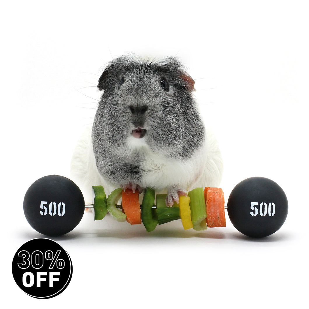 HayPigs!® Piggy Weightlifter™ - Vegetable Kebab Maker