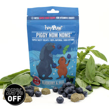 Load image into Gallery viewer, HayPigs!® Piggy Nom Noms™ - Blueberry &amp; Basil 70g
