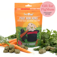 Load image into Gallery viewer, HayPigs!® Piggy Nom Noms™ - Carrot &amp; Coriander 70g
