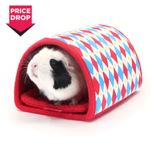 Load image into Gallery viewer, HayPigs!® Harlequin Collection - Tunnel and Hideout™
