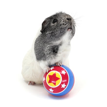 Load image into Gallery viewer, HayPigs!® Circus Treat Ball™ - 3-in-1 Enrichment Toy
