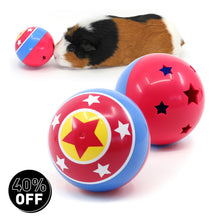 Load image into Gallery viewer, HayPigs!® Circus Treat Ball™ - 3-in-1 Enrichment Toy
