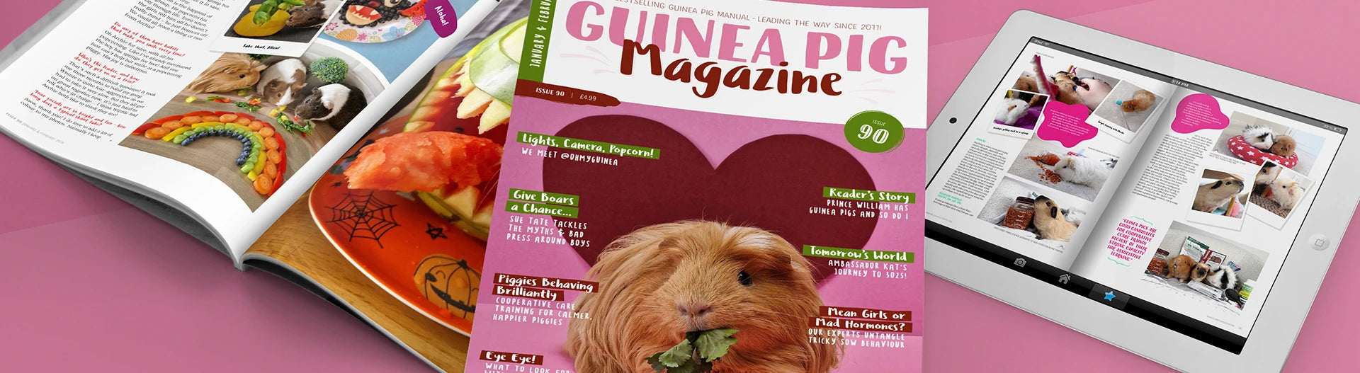 Issue 90 of Guinea Pig Magazine