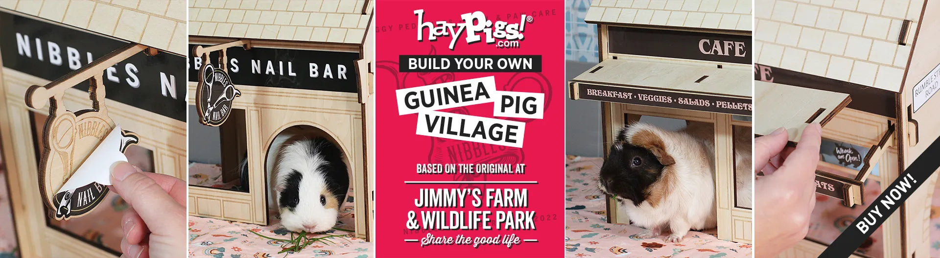 Wooden guinea pig village houses with guinea pigs inside
