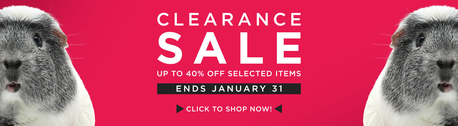 Haypigs.com January Clearance Sale