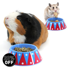 Load image into Gallery viewer, HayPigs!® Junior Food Tamer™ - Mini Food Bowl
