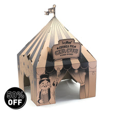 Load image into Gallery viewer, HayPigs!® &#39;Pig Top&#39; Playhouse™ - Pack of 3
