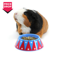 Load image into Gallery viewer, HayPigs!® Junior Food Tamer™ - Mini Food Bowl
