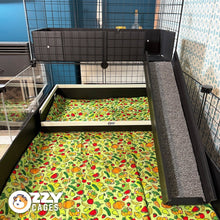 Load image into Gallery viewer, Ozzy Cages 2x1 C&amp;C Narrow Loft Kit - Clear Sided
