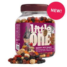 Load image into Gallery viewer, Little One Berry Mix Snack 180g

