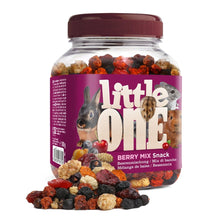 Load image into Gallery viewer, Little One Berry Mix Snack 180g
