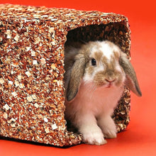 Load image into Gallery viewer, Little One Large Tunnel Treat - Toy (for Guinea Pigs and Rabbits)
