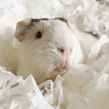 Load image into Gallery viewer, Burgess Excel Nap &amp; Nest Luxury Paper Bedding 650g
