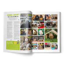 Load image into Gallery viewer, Guinea Pig Magazine - Issue 85 (Mar / Apr 2025)
