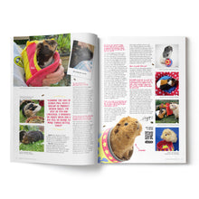 Load image into Gallery viewer, Guinea Pig Magazine - Issue 82 (Sept / Oct 2024)
