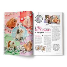 Load image into Gallery viewer, Guinea Pig Magazine - Issue 84 (Jan / Feb 2025)
