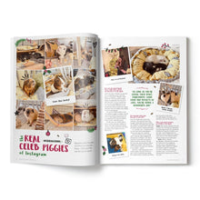 Load image into Gallery viewer, Guinea Pig Magazine Subscription
