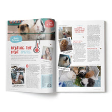 Load image into Gallery viewer, Guinea Pig Magazine Subscription
