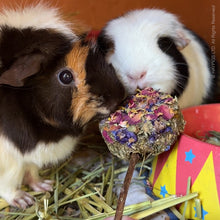 Load image into Gallery viewer, Natural Nibbles Flower &amp; Veggie Lollipops
