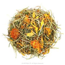 Load image into Gallery viewer, Nature&#39;s Own Hay n Play Mint
