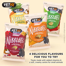 Load image into Gallery viewer, VetIQ Nibblots Treats for Small Animals - Berries 30g
