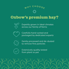 Load image into Gallery viewer, Oxbow Alfalfa Hay 15oz / 425g
