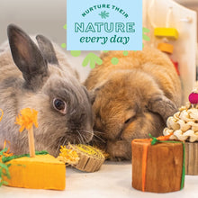 Load image into Gallery viewer, Oxbow Enriched Life Birthday Party Pack
