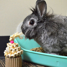 Load image into Gallery viewer, Oxbow Enriched Life Birthday Party Pack
