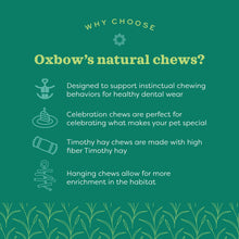 Load image into Gallery viewer, Oxbow Enriched Life Celebration Cupcake - Small Animal Chew Toy
